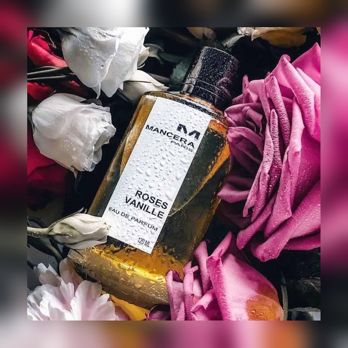 Mancera Roses Vanille Eau de Parfum – 120ml - lifestyle product view 3