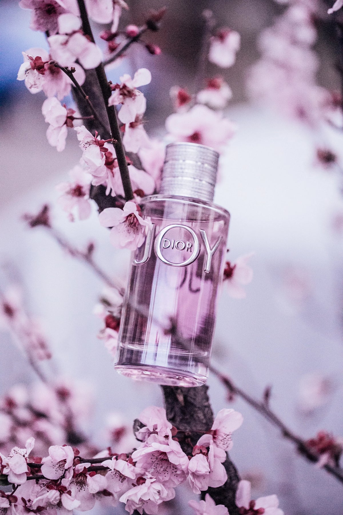 Dior JOY EDP 100ml – image 3